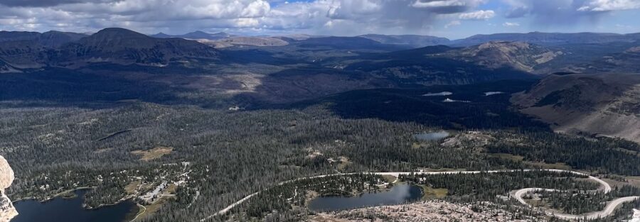 The Emotional Rollercoaster of Moving Alone