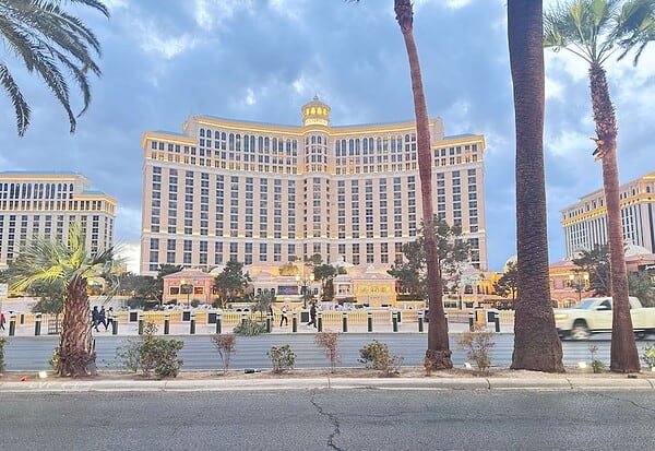 Wild Vegas Adventure