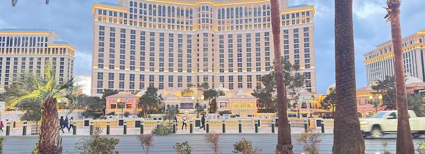 Wild Vegas Adventure