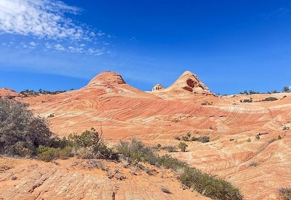 Dixie National Forest