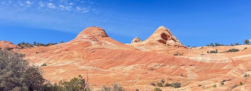Dixie National Forest