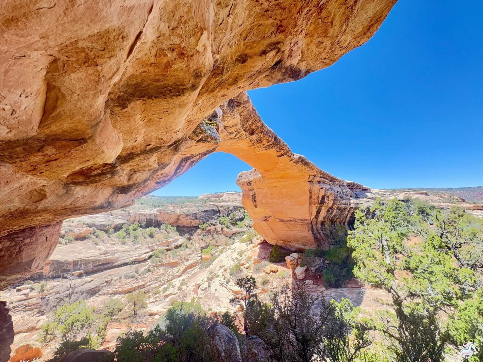 Under The Natural Bridges Hiking Guide In Blanding Utah under-the-natural-bridges-hiking-guide-in-blanding-utah