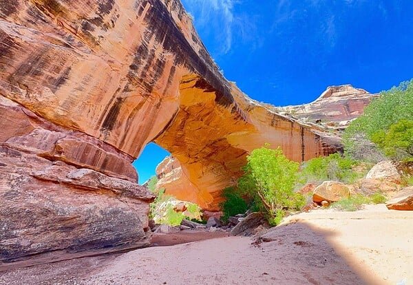 Sipapu Bridge viewed from below on the Under the Natural Bridges Loop