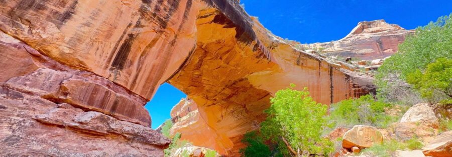 Sipapu Bridge viewed from below on the Under the Natural Bridges Loop