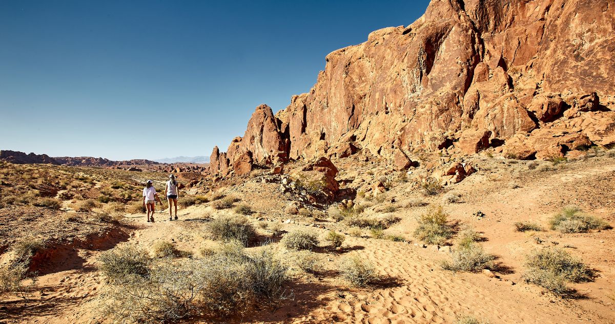 Buckskin Gulch Day Hike Step into the World's Longest Slot Canyon